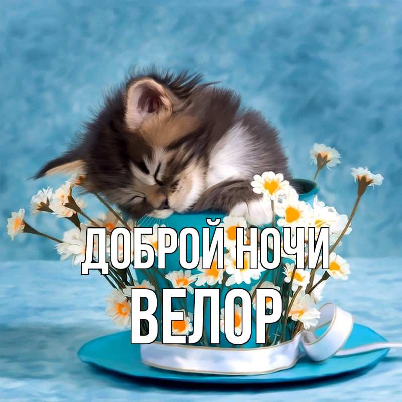 Картинка Доброй ночи, Велор
