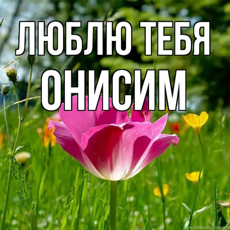 Картинка Люблю тебя, Онисим