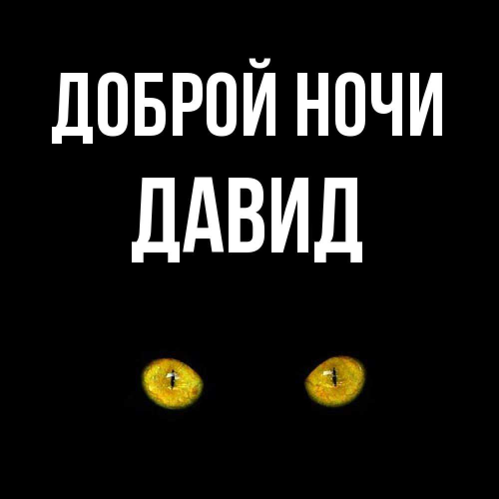 Открытка на каждый день с именем, Давид Доброй ночи сладких снов бесстрашный мой дружочек Прикольная открытка с пожеланием онлайн скачать бесплатно 