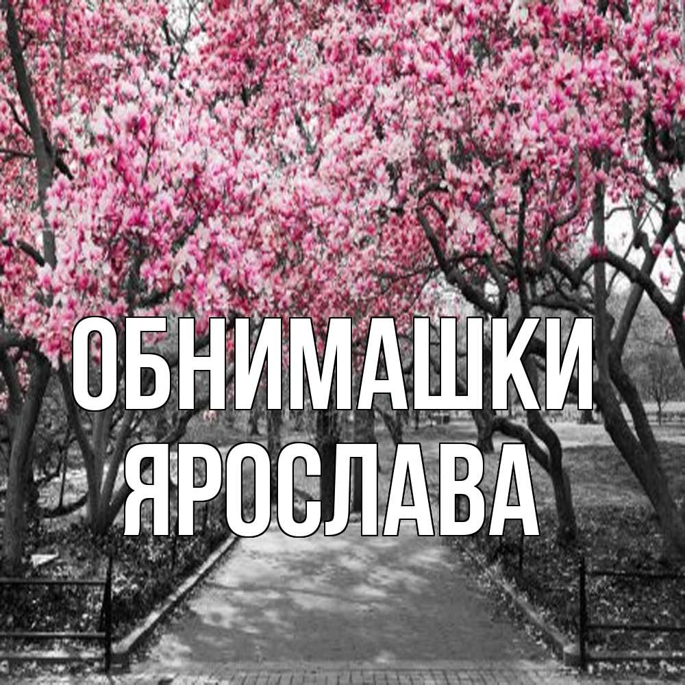Открытка на каждый день с именем, Ярослава Обнимашки обработанное фото Прикольная открытка с пожеланием онлайн скачать бесплатно 