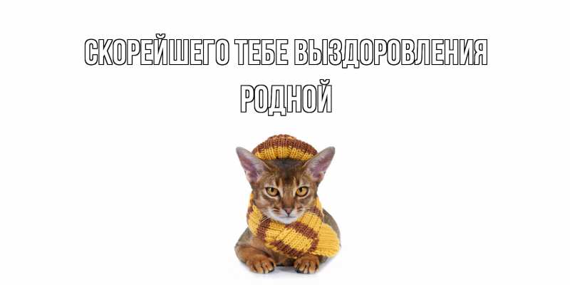 Картинка Скорейшего тебе выздоровления, Родной