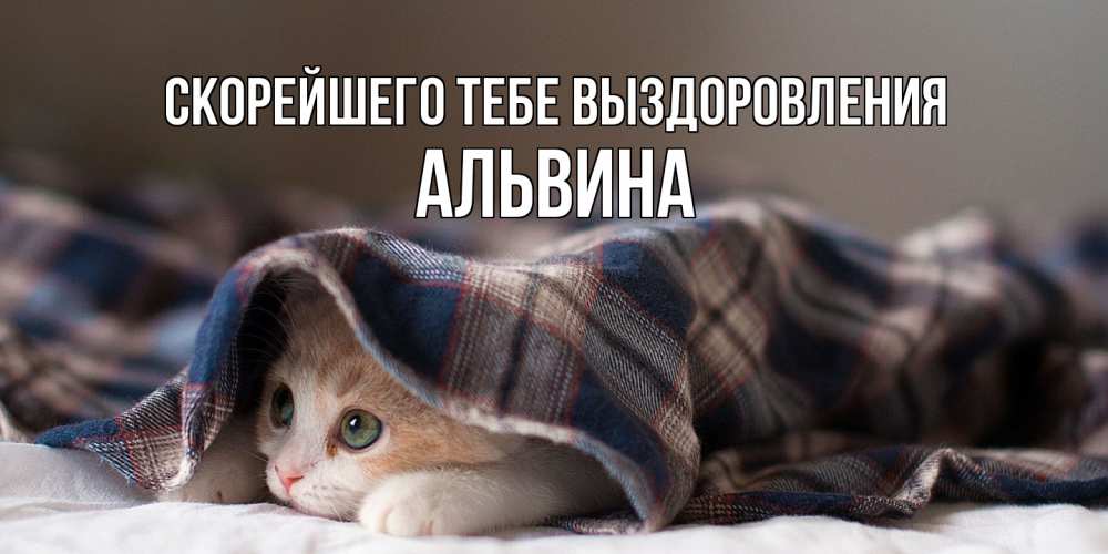 Открытка на каждый день с именем, Альвина Скорейшего тебе выздоровления не болейте с котиком Прикольная открытка с пожеланием онлайн скачать бесплатно 