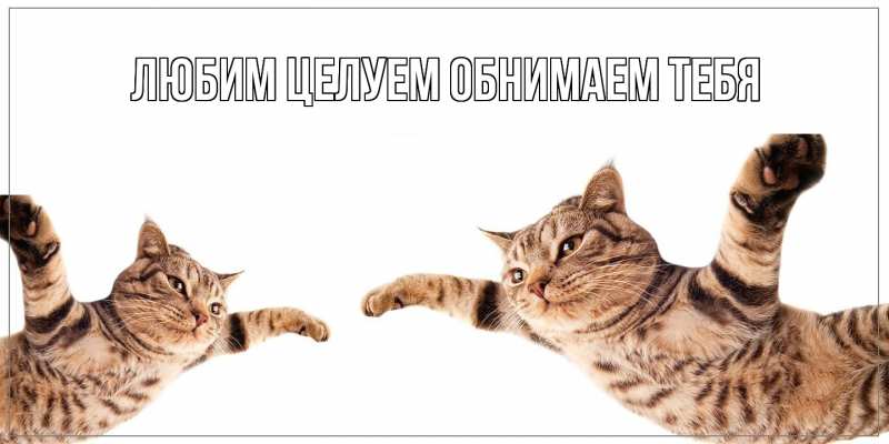 Картинка Хорошего дня тебе, Феодосий