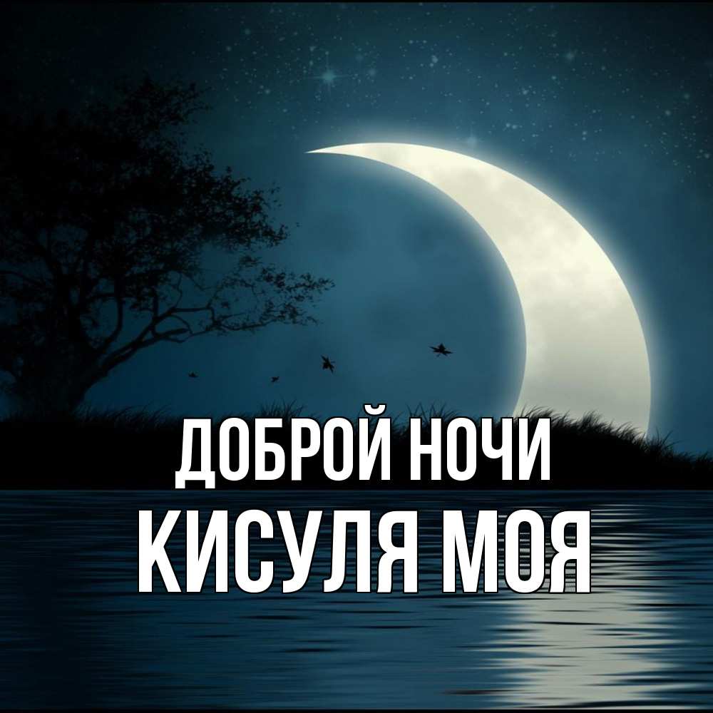 Открытка на каждый день с именем, Кисуля-моя Доброй ночи вода Прикольная открытка с пожеланием онлайн скачать бесплатно 