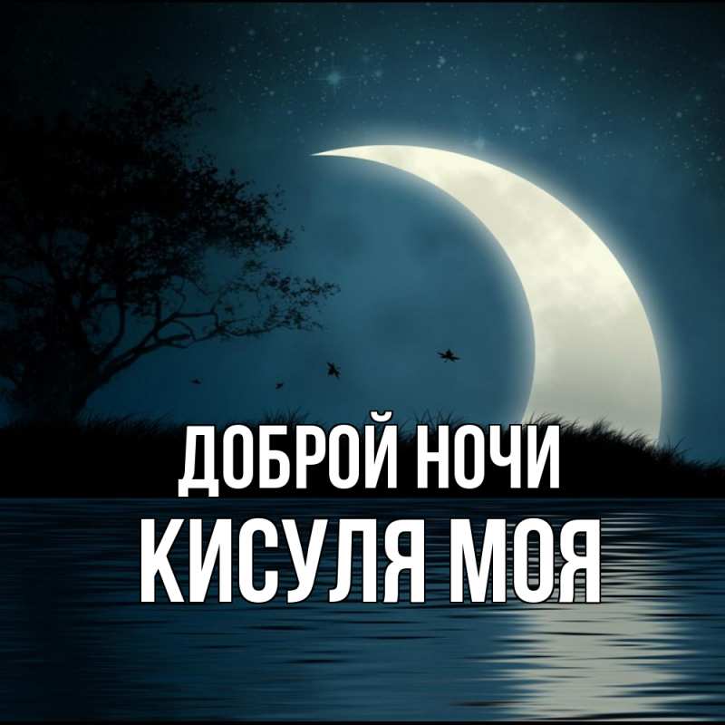 Картинка Доброй ночи, Кисуля моя