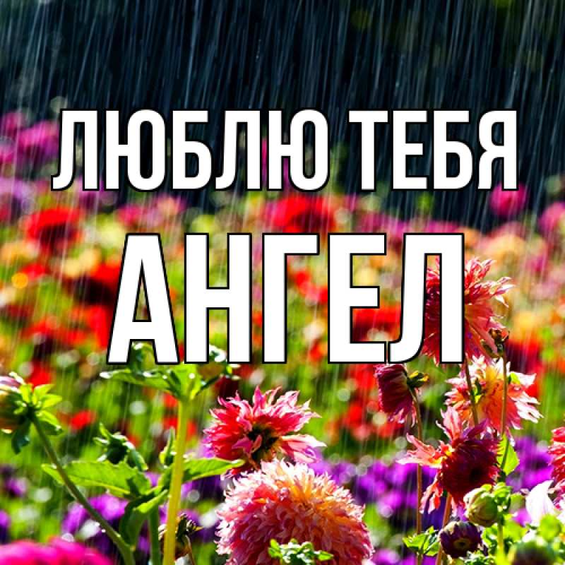 Картинка Люблю тебя, Ангел