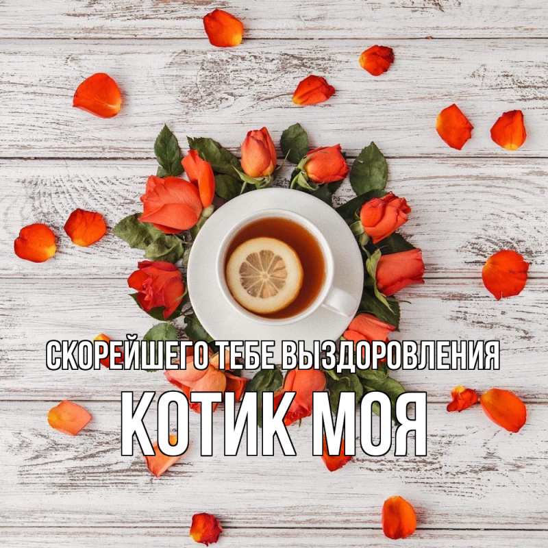 Картинка Скорейшего тебе выздоровления, Котик моя