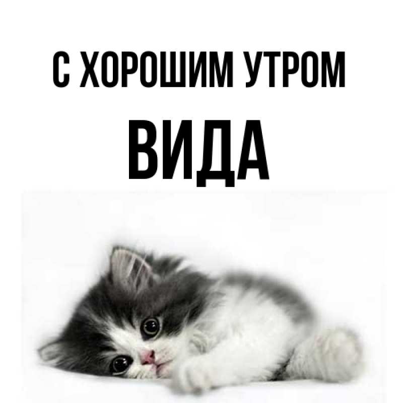 Картинка С хорошим утром, Вида