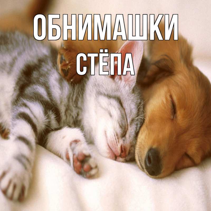 Картинка Обнимашки, Стёпа