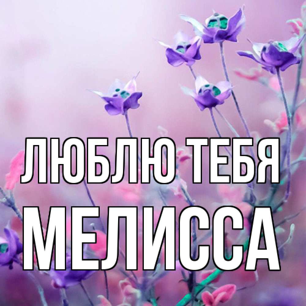 Открытка на каждый день с именем, Мелисса Люблю тебя международный женский день 2 Прикольная открытка с пожеланием онлайн скачать бесплатно 