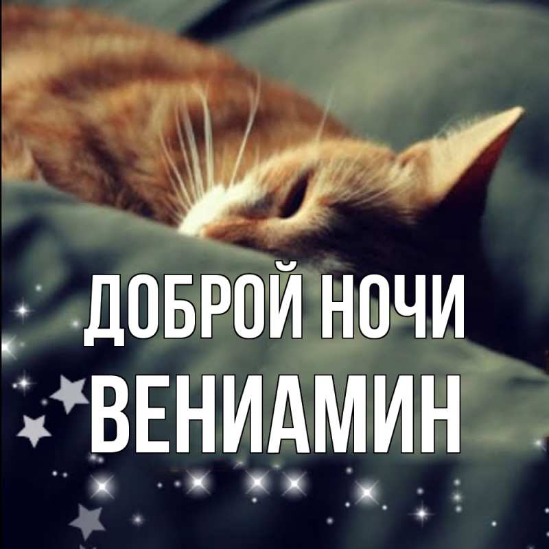 Картинка Доброй ночи, Вениамин