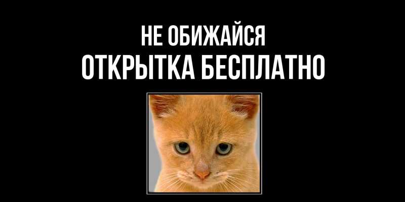 Открытка с именем, открытка бесплатно, Не обижайся