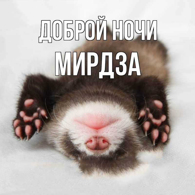 Картинка Доброй ночи, Мирдза
