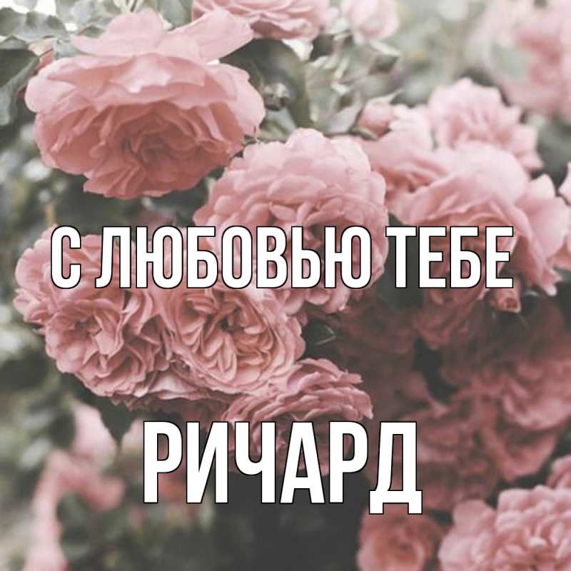 Картинка С любовью тебе, Ричард