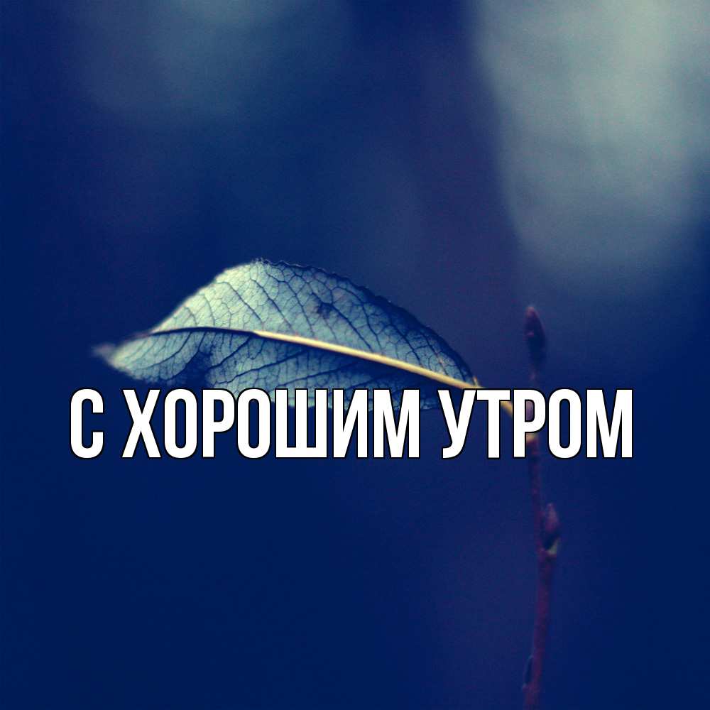 Открытка на каждый день с именем, Кузьма Скучашки одна ветка 1 Прикольная открытка с пожеланием онлайн скачать бесплатно 