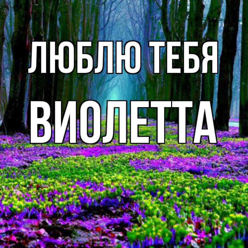 Картинка Люблю тебя, Виолетта