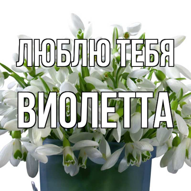 Картинка Люблю тебя, Виолетта