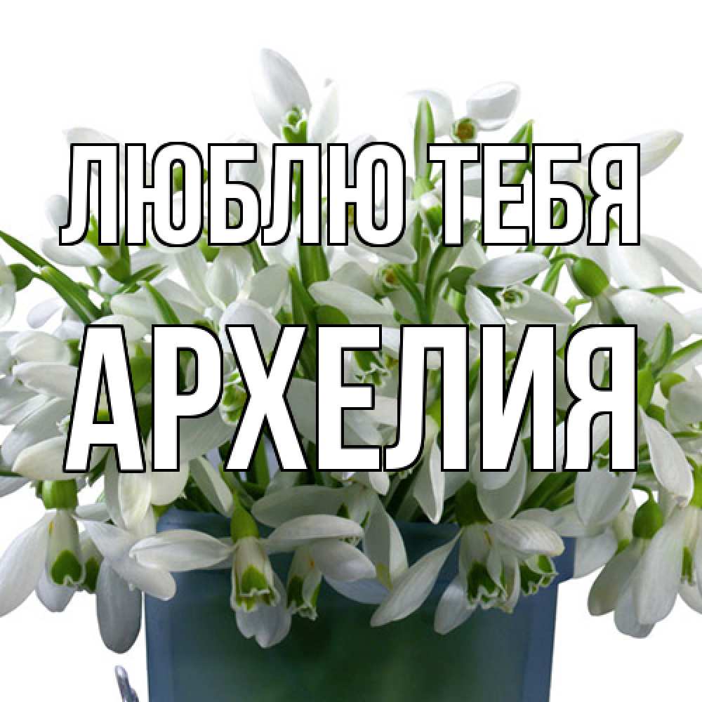 Открытка на каждый день с именем, Архелия Люблю тебя цветы к международному женскому дню Прикольная открытка с пожеланием онлайн скачать бесплатно 