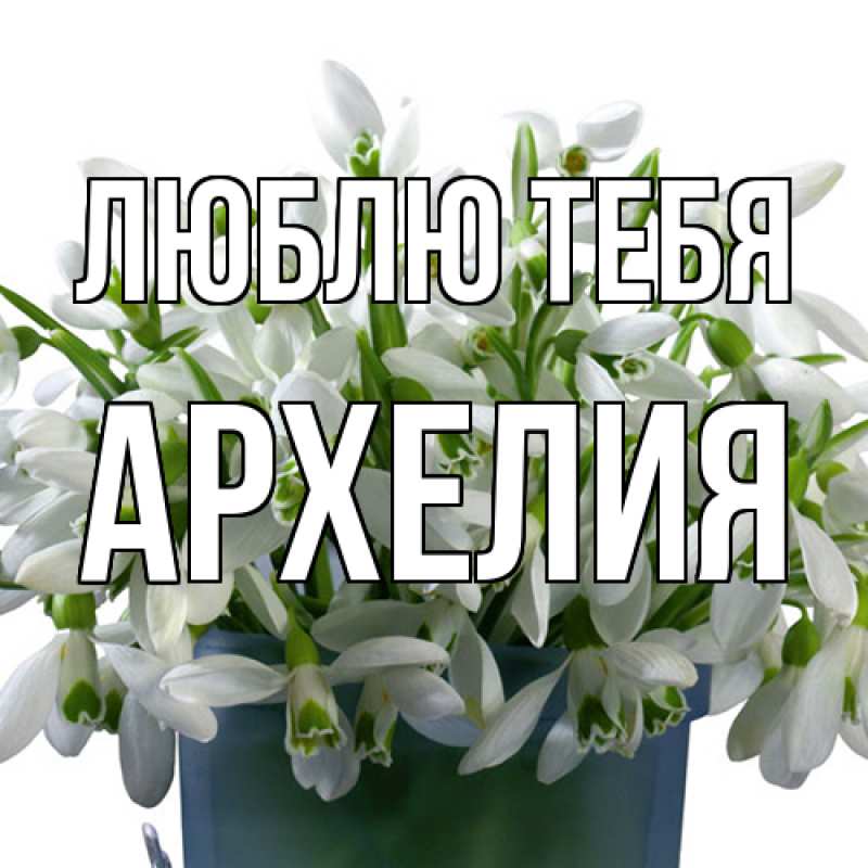 Картинка Люблю тебя, Архелия