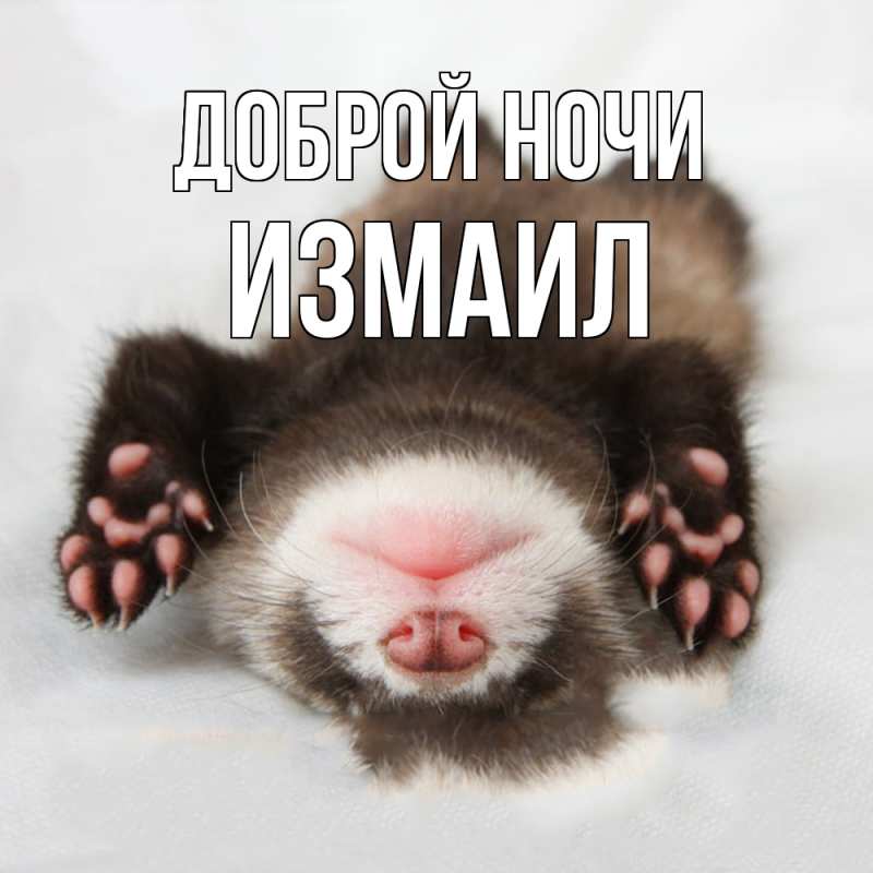 Картинка Доброй ночи, Измаил