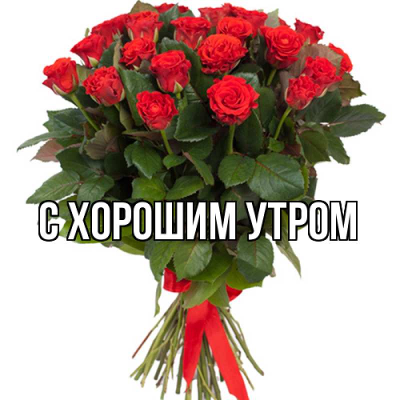 Картинка Люблю тебя, Лида