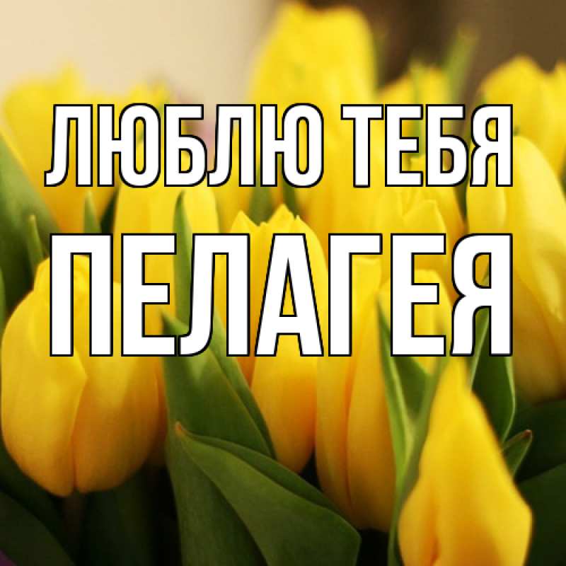 Картинка Люблю тебя, Пелагея