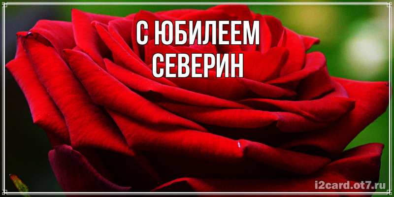Картинка C юбилеем, Северин