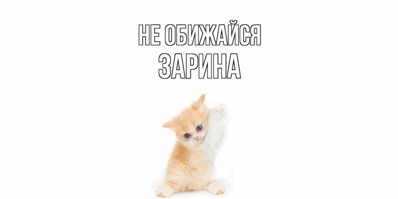 Картинка Не обижайся, Зарина