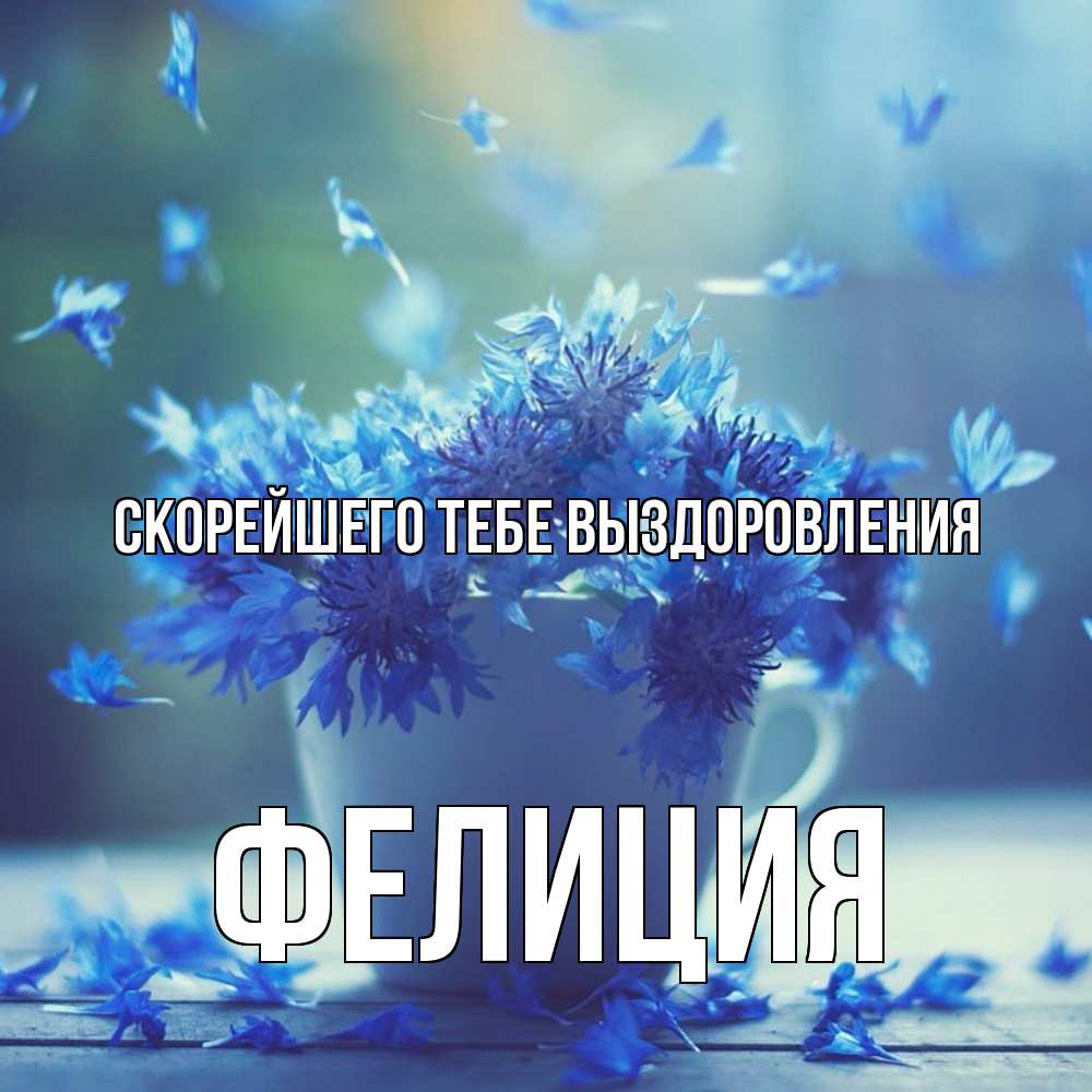 Открытка на каждый день с именем, Фелиция Скорейшего тебе выздоровления кружка с зельем и цветами Прикольная открытка с пожеланием онлайн скачать бесплатно 