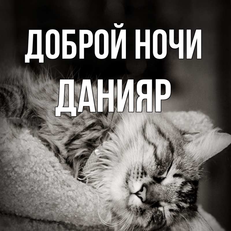 Картинка Доброй ночи, Данияр