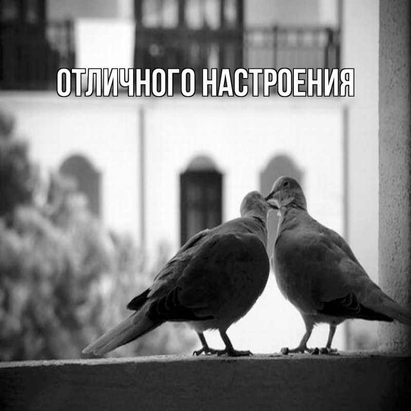 Картинка Обнимашки, Кисуля моя