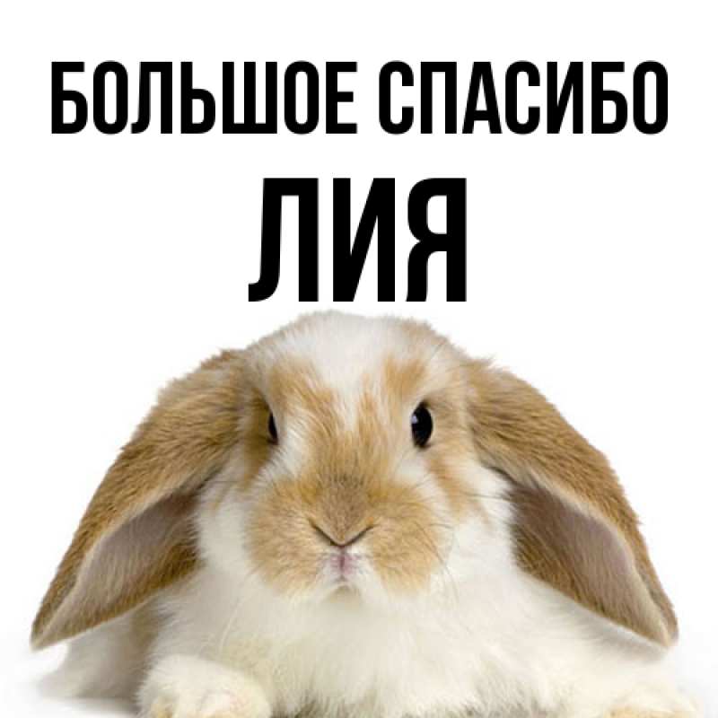 Картинка Большое спасибо, Лия