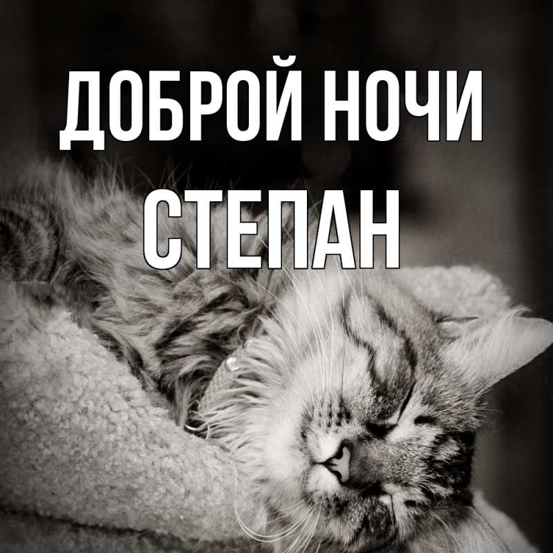 Картинка Доброй ночи, Степан