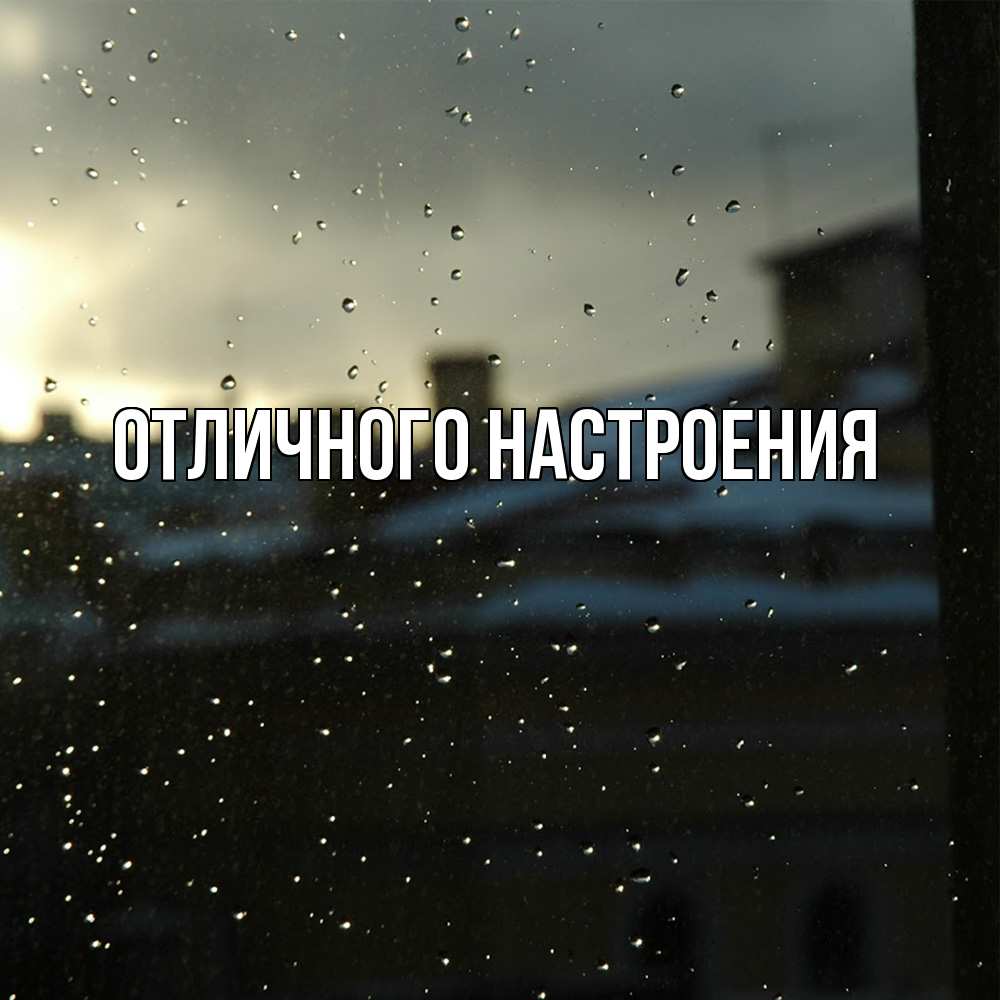 Открытка на каждый день с именем, Песподобная Скучашки капли на стекле Прикольная открытка с пожеланием онлайн скачать бесплатно 