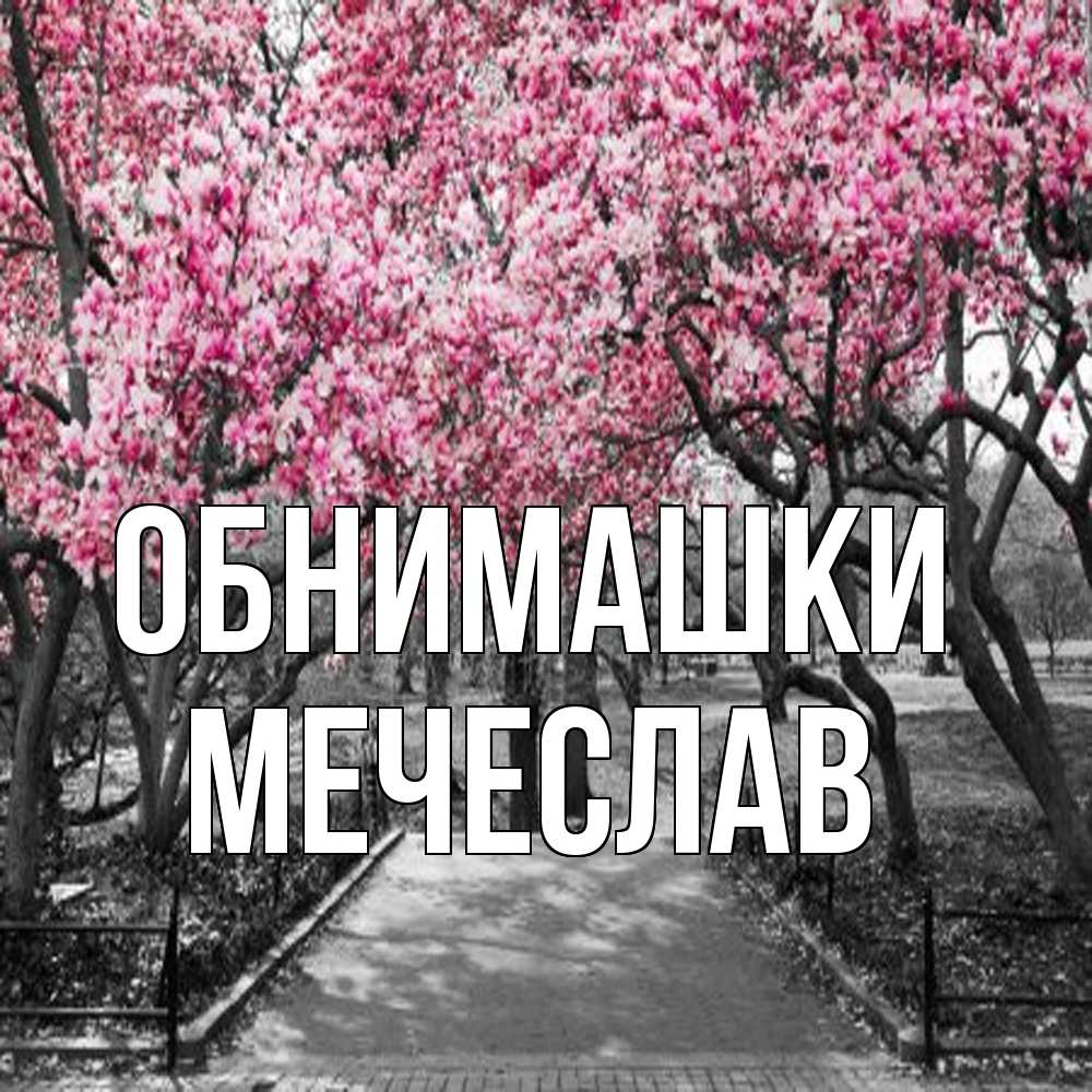 Открытка на каждый день с именем, Мечеслав Обнимашки обработанное фото Прикольная открытка с пожеланием онлайн скачать бесплатно 