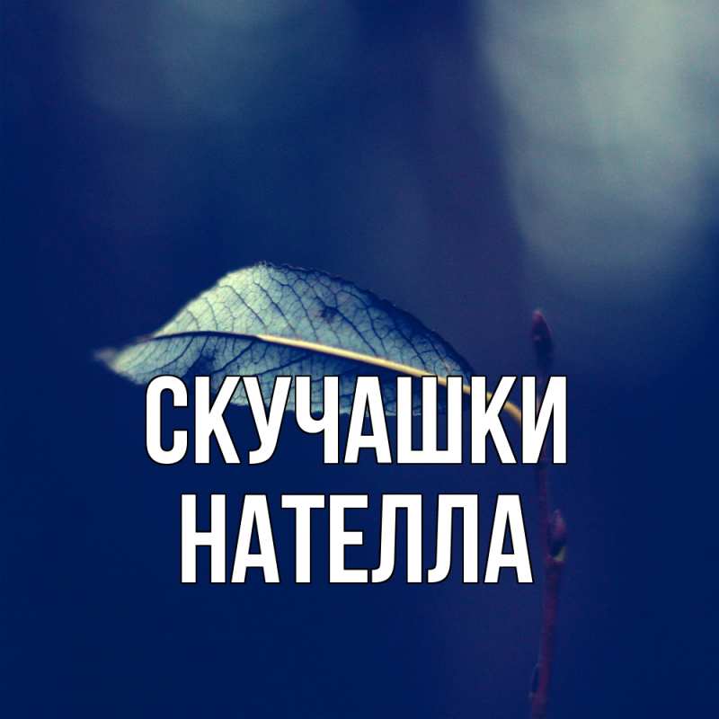 Открытка с именем, Нателла, Скучашки