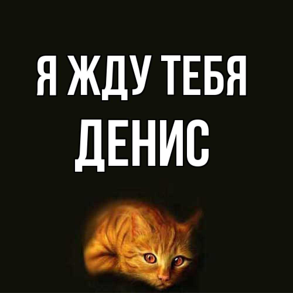 Открытка на каждый день с именем, Денис Я жду тебя рыжий Прикольная открытка с пожеланием онлайн скачать бесплатно 