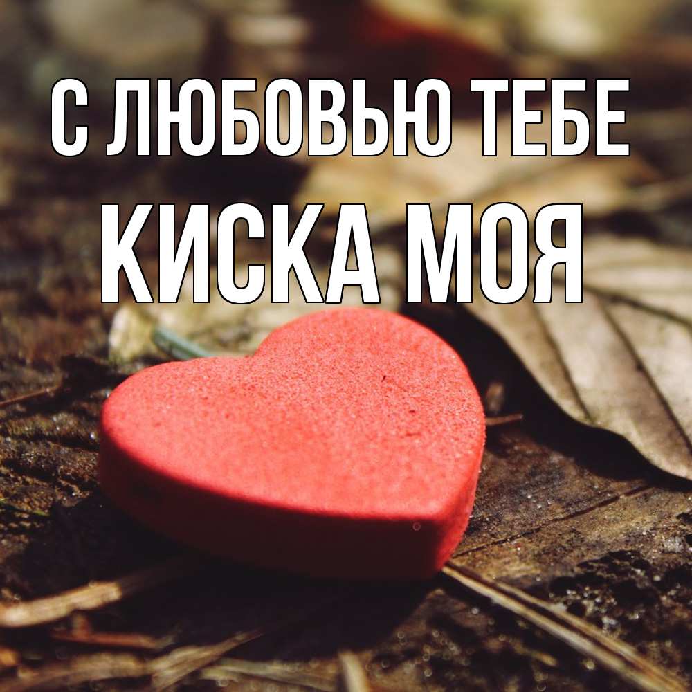 Открытка на каждый день с именем, Киска-моя С любовью тебе листья деревье 4 Прикольная открытка с пожеланием онлайн скачать бесплатно 