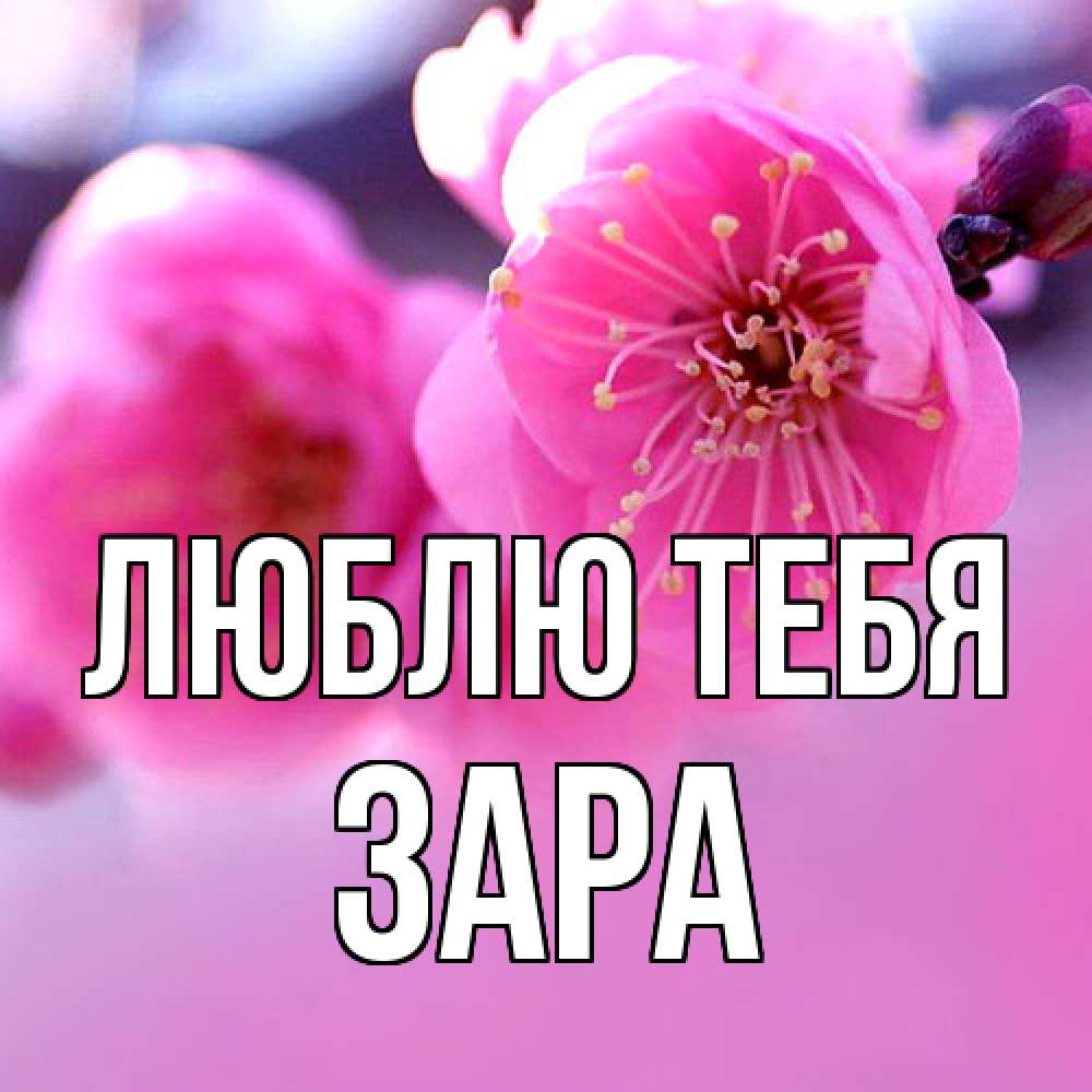 Открытка на каждый день с именем, Зара Люблю тебя международный женский день Прикольная открытка с пожеланием онлайн скачать бесплатно 