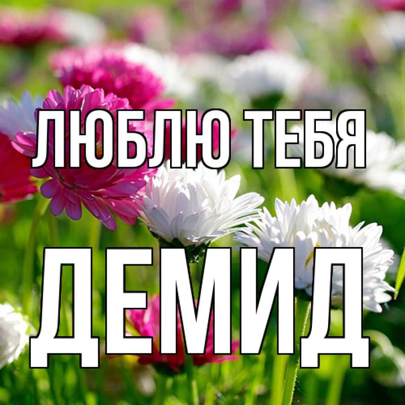 Картинка Люблю тебя, Демид