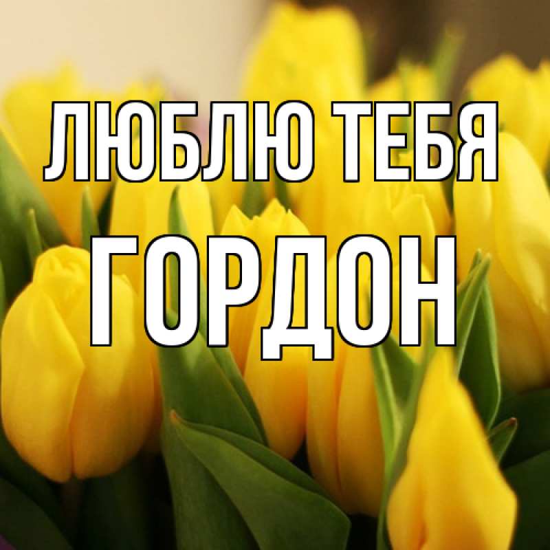 Картинка Люблю тебя, Гордон