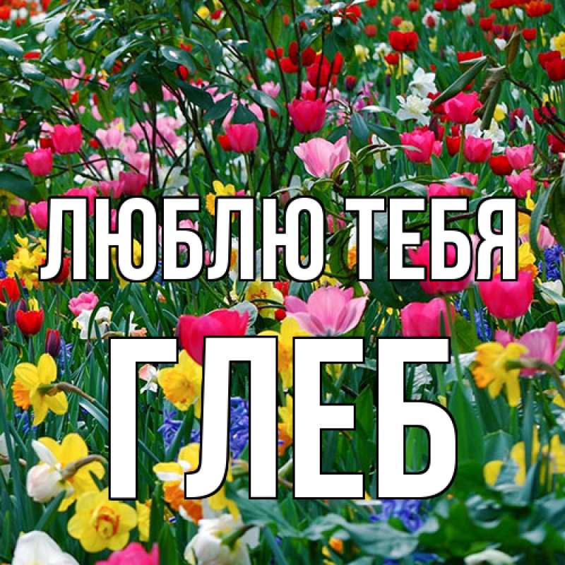Открытка с именем, Глеб, Люблю тебя