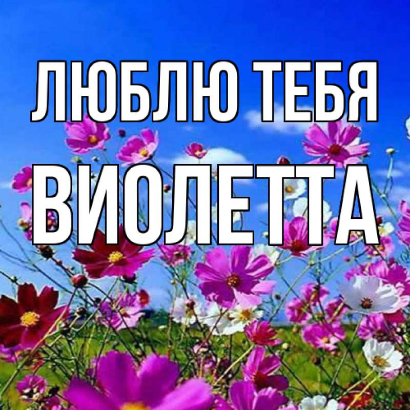 Картинка Люблю тебя, Виолетта