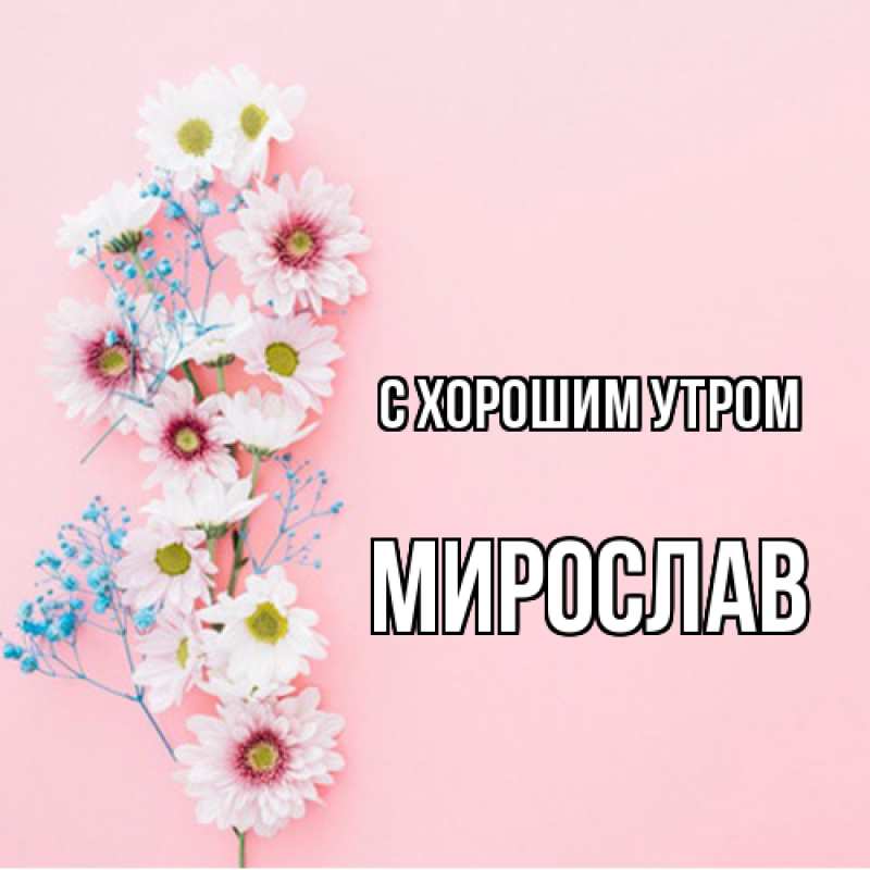 Картинка С хорошим утром, Мирослав