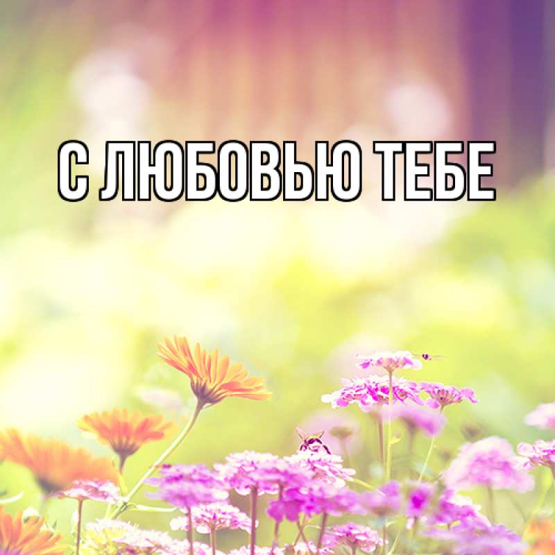 Картинка Люблю тебя, Жан