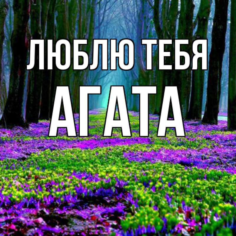 Картинка Люблю тебя, Агата