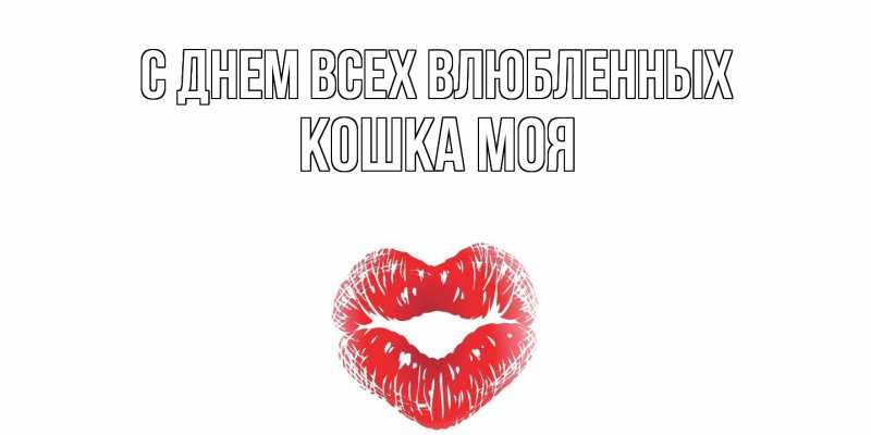 Картинка С днем всех влюбленных, Кошка моя