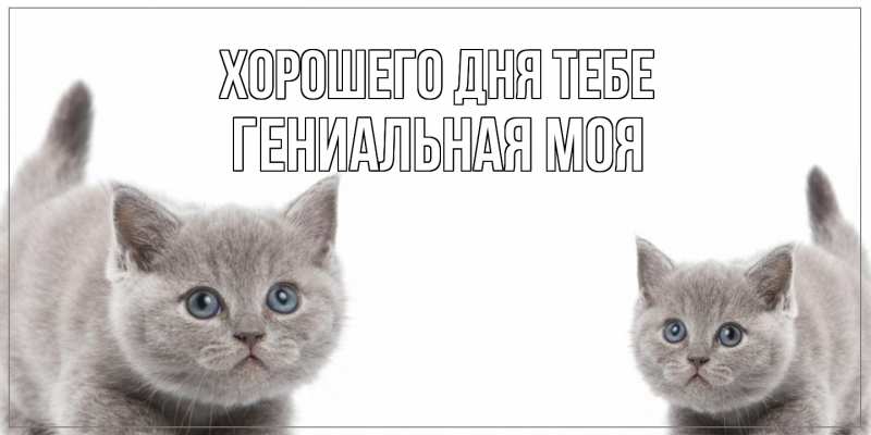 Картинка Хорошего дня тебе, Гениальная моя