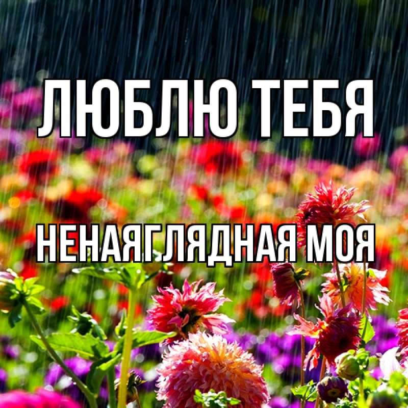 Картинка Люблю тебя, Ненаяглядная моя