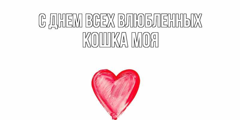 Картинка С днем всех влюбленных, Кошка моя